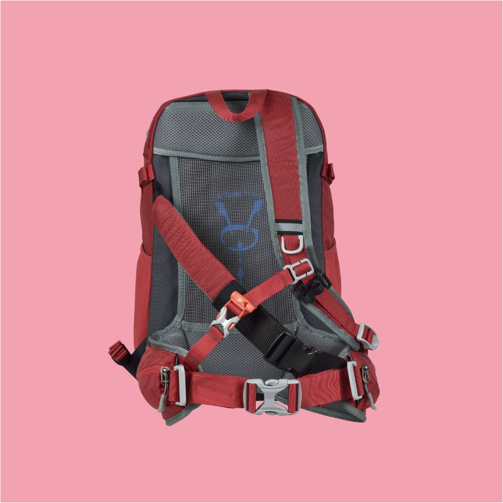 CAROLINE 🌷 - Alpina Active 25 L Red (S-M)