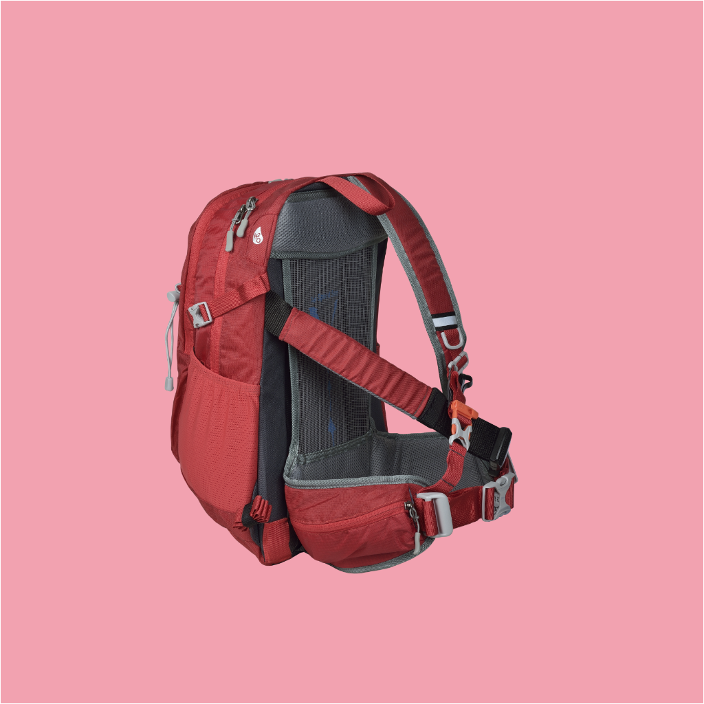 CAROLINE 🌷 - Alpina Active 25 L Red (S-M)