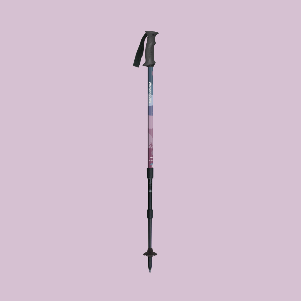 Trekking Stick